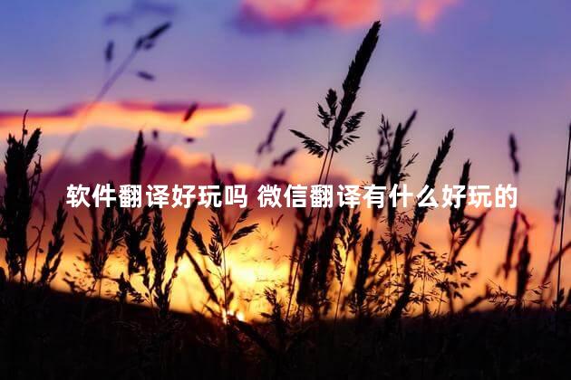 软件翻译好玩吗 微信翻译有什么好玩的